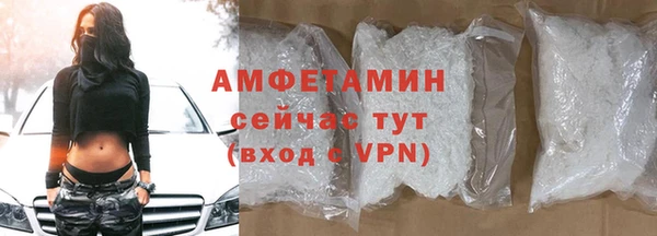 стаф Балахна