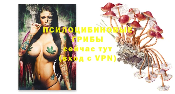 стаф Балахна