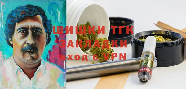 стаф Балахна